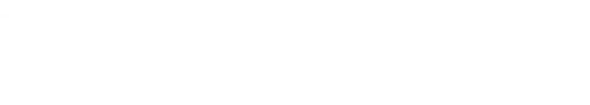 logo_baggat